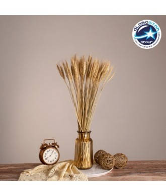 GLOBOSTAR® BARLEY 36551 Αποξηραμένο Διακοσμητικό Μπουκέτο Κριθάρι - Μπεζ - Μ20 x Π20 x Υ60cm - Πακέτο 100 Τεμαχίων